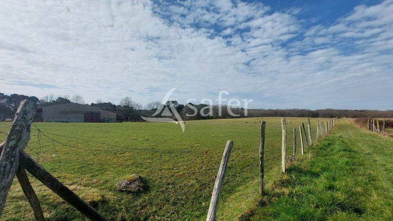 Landbouw bedrijf Koop Gironde