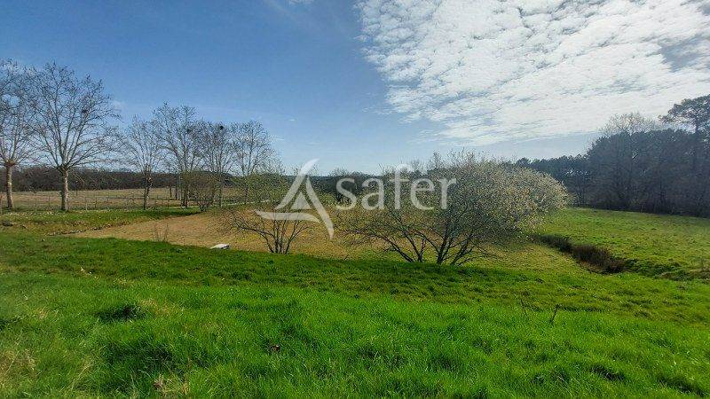 Landbouw bedrijf Koop Gironde