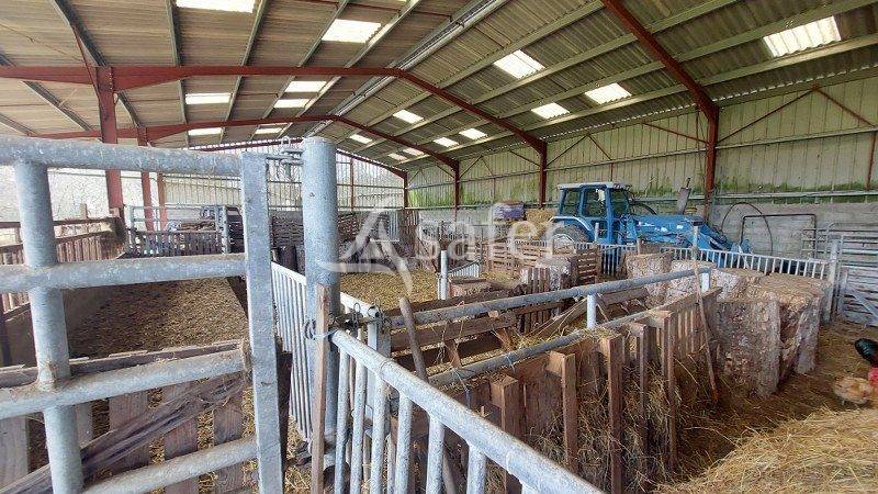Landbouw bedrijf Koop Gironde