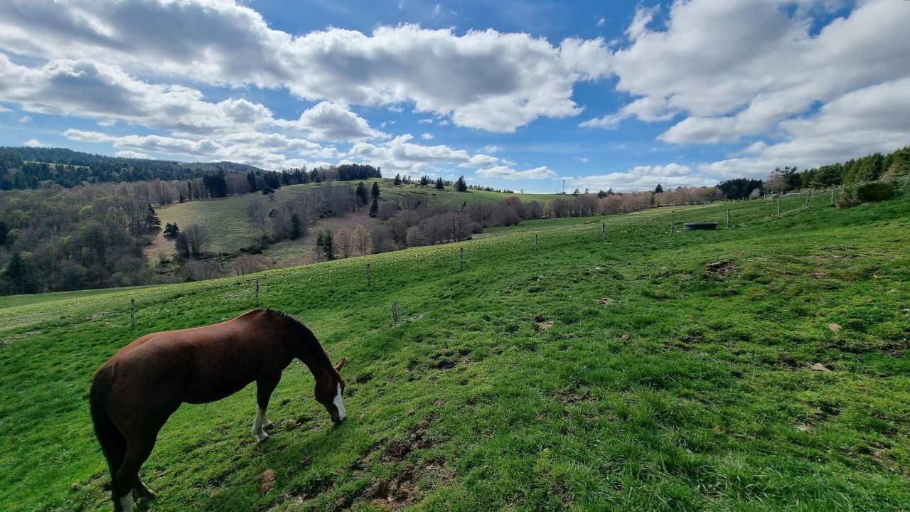 Paarden accommodatie Koop Ard&egrave;che