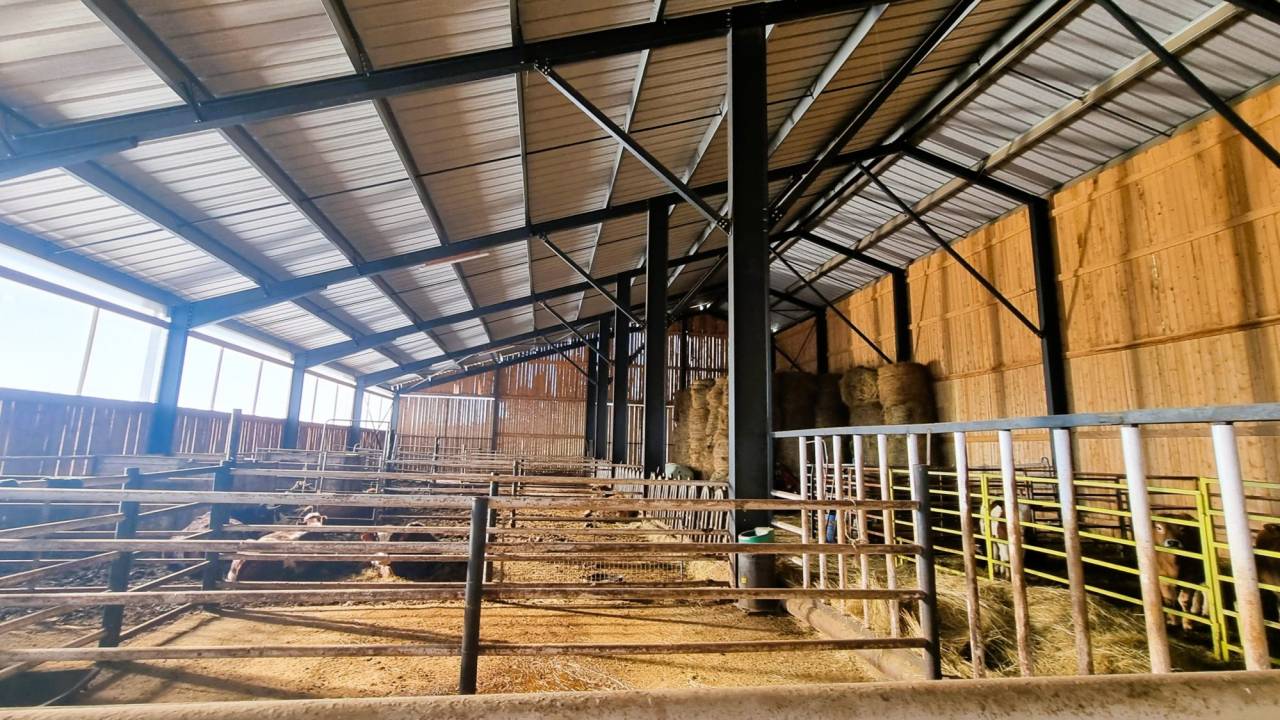 Paarden accommodatie Koop Ard&egrave;che