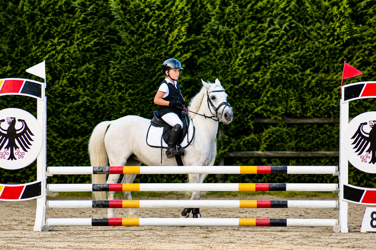 Merrie Connemara Te koop 2009 Schimmel ,  Oxhill Mairtin