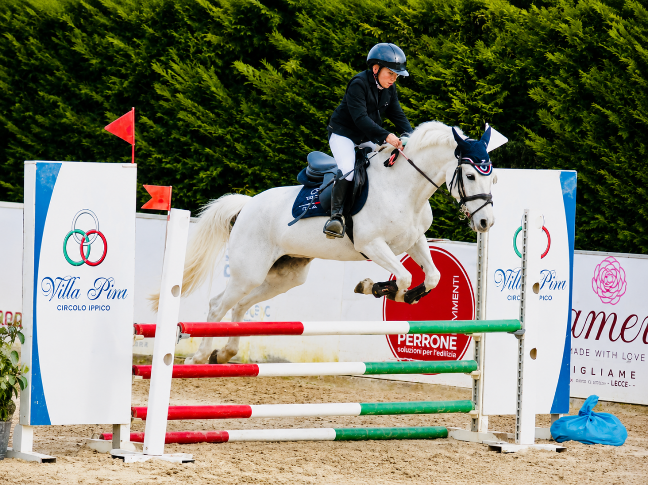 Merrie Connemara Te koop 2009 Schimmel ,  Oxhill Mairtin