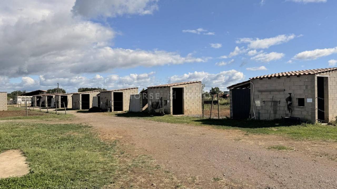 Hippisch vastgoed Koop H&eacute;rault