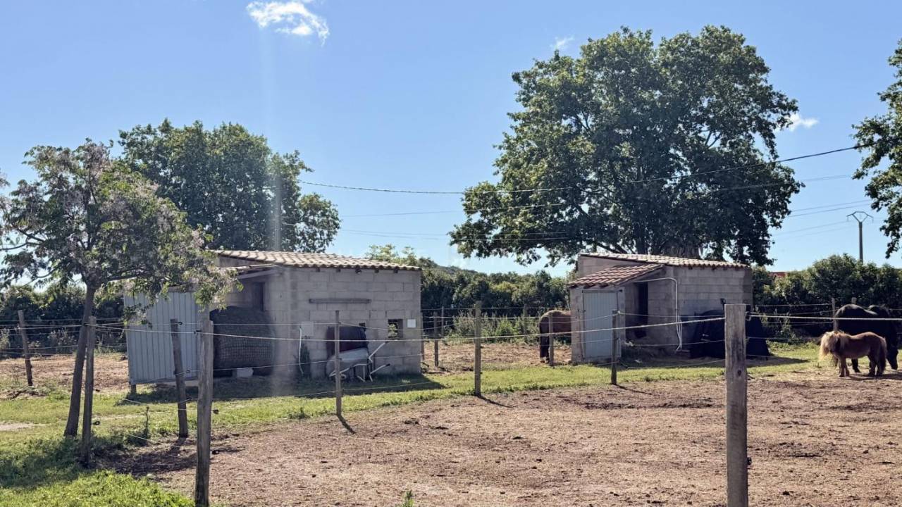 Hippisch vastgoed Koop H&eacute;rault