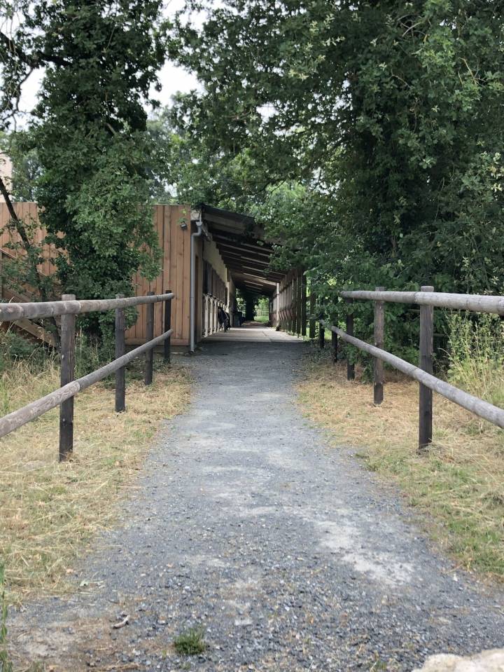 Paarden accommodatie Koop Maine-et-Loire