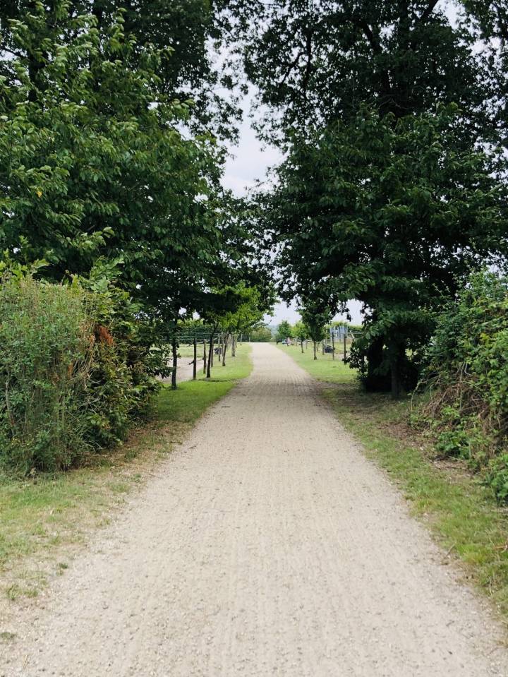Paarden accommodatie Koop Maine-et-Loire