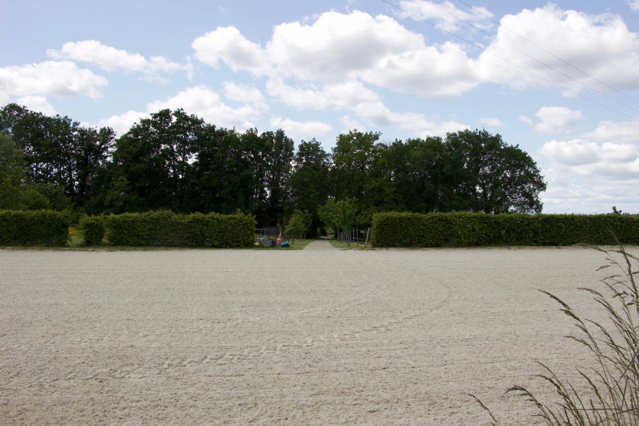 Paarden accommodatie Koop Maine-et-Loire