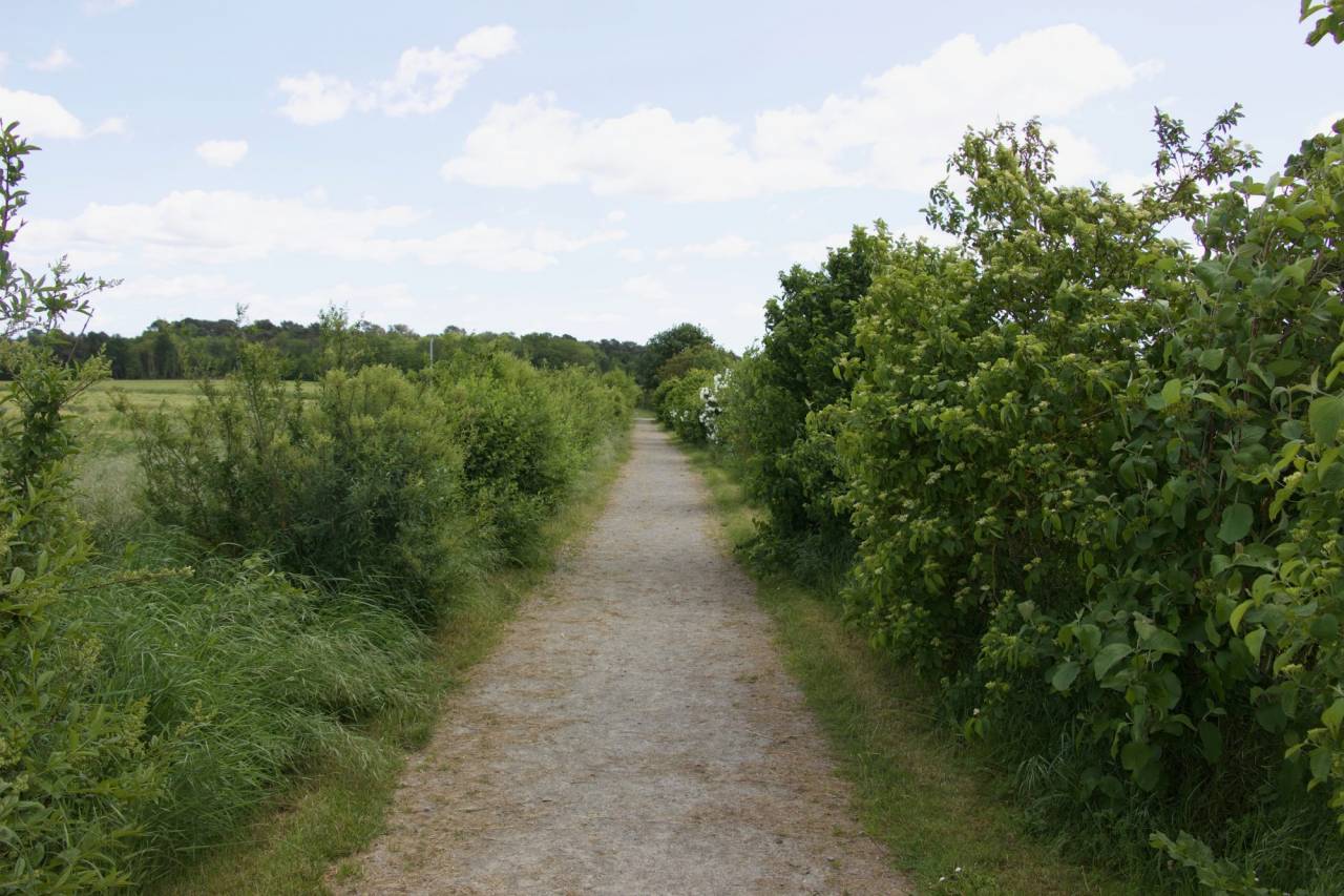 Paarden accommodatie Koop Maine-et-Loire