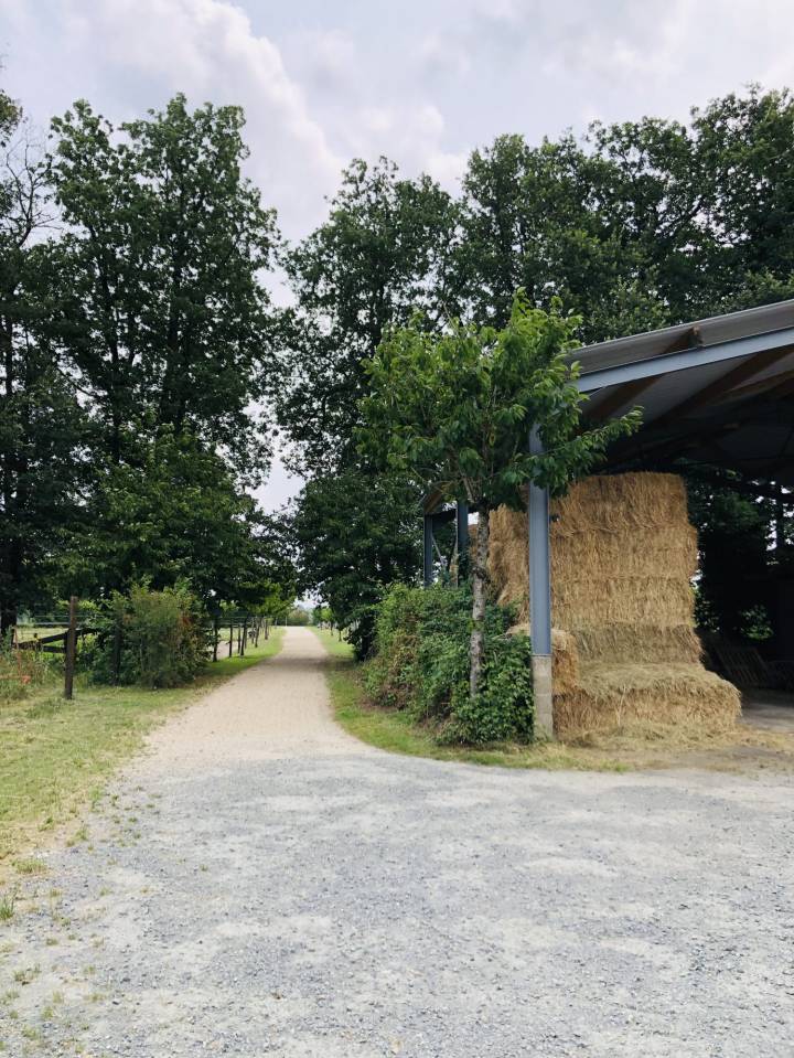 Paarden accommodatie Koop Maine-et-Loire