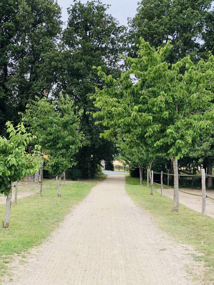 Paarden accommodatie Koop Maine-et-Loire