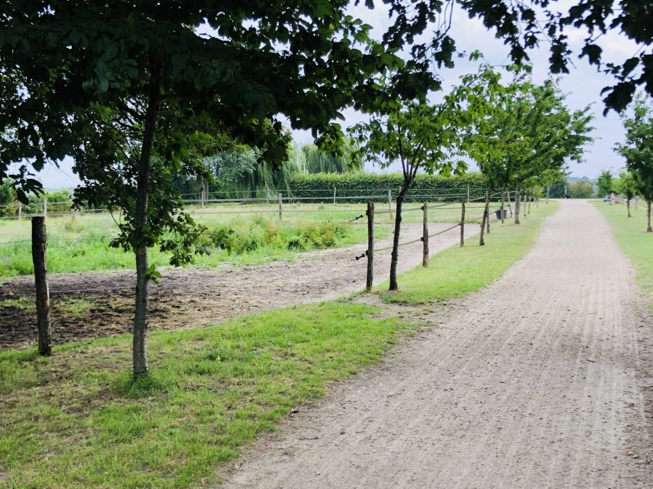 Paarden accommodatie Koop Maine-et-Loire