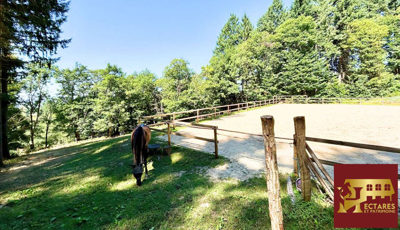 Paarden accommodatie Koop Sa&ocirc;ne-et-Loire