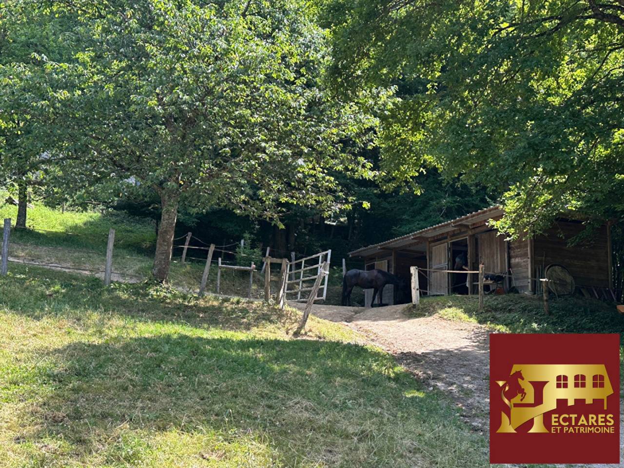 Paarden accommodatie Koop Sa&ocirc;ne-et-Loire