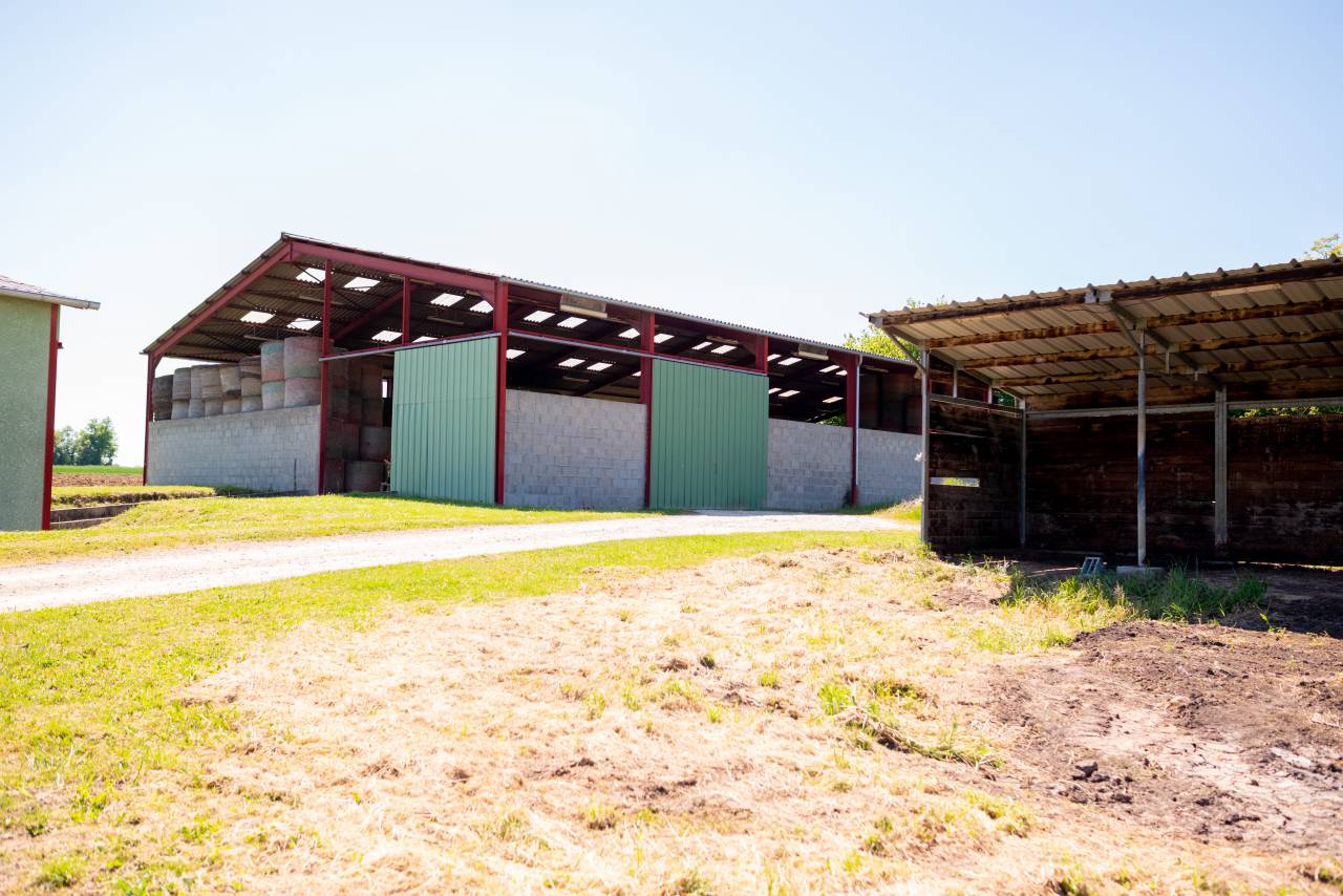 Hippisch vastgoed Koop Ain