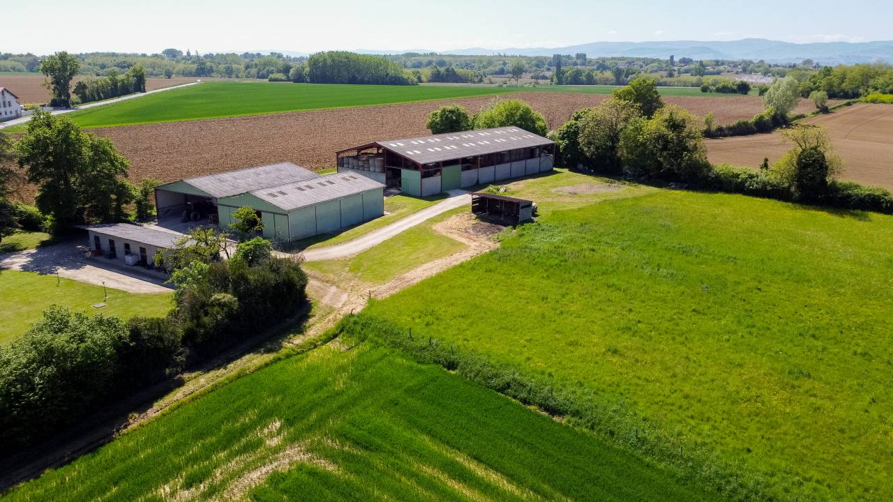 Hippisch vastgoed Koop Ain