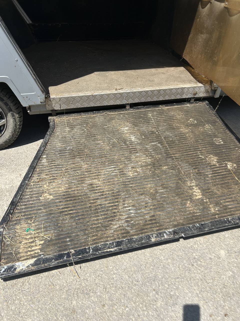 Kleine paardenvrachtwagen (B rijbewijs) Renault dci  2005 Tweedehands