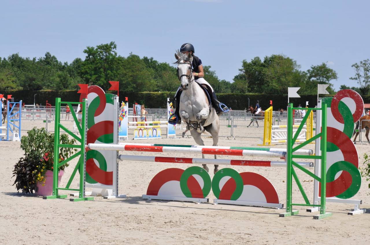 Merrie Andere pony rassen Te koop 2013 Donker bruin / bai ,  AFAS DE NAVA