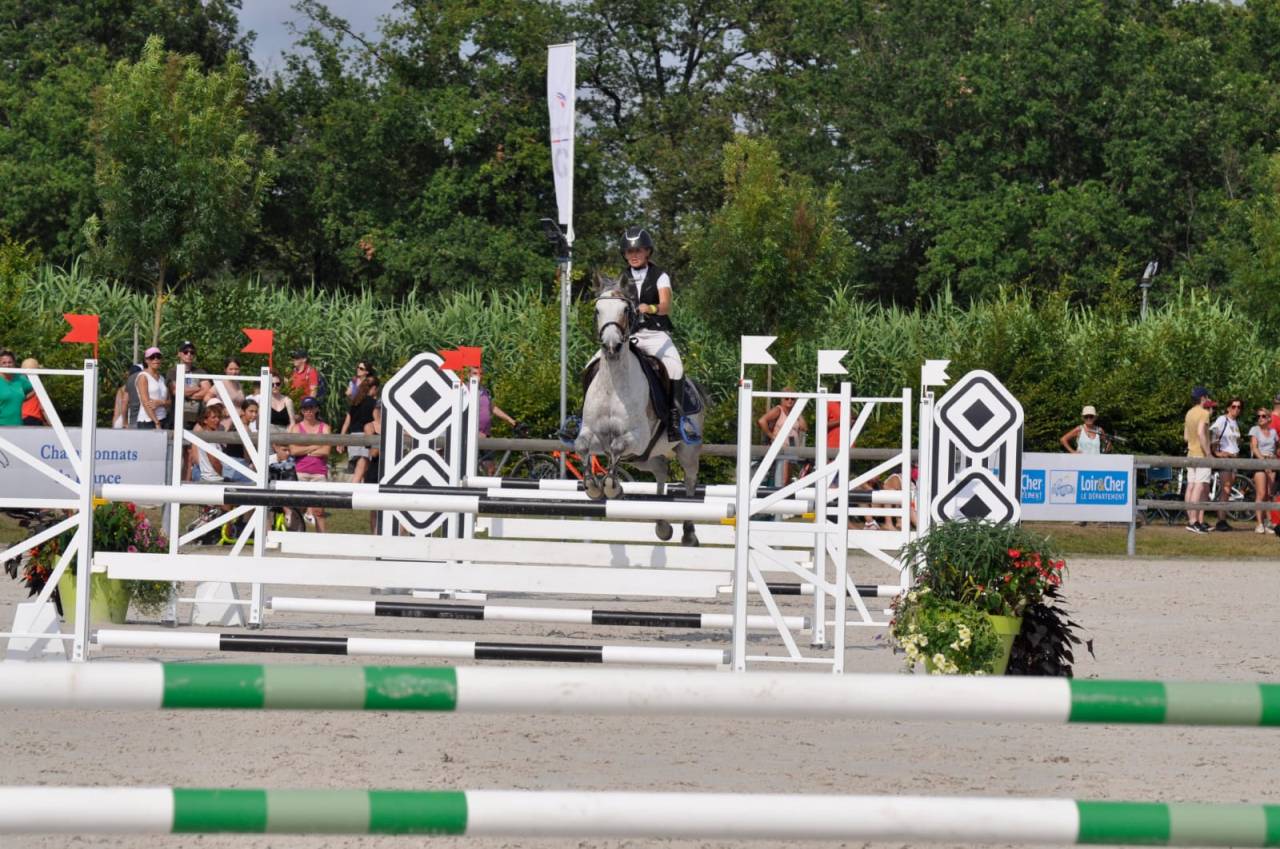 Merrie Andere pony rassen Te koop 2013 Donker bruin / bai ,  AFAS DE NAVA