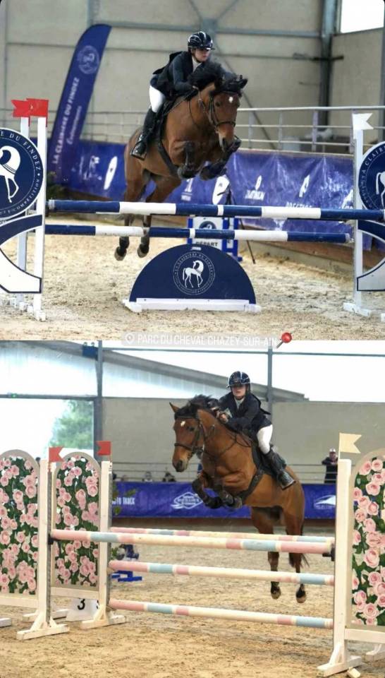 Merrie Franse rijpony PFS Te leen 2013 Donker bruin / bai