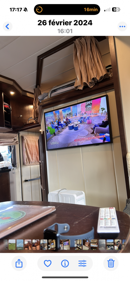 Zware paardenvrachtwagen (groot rijbewijs) STX  2007 Tweedehands