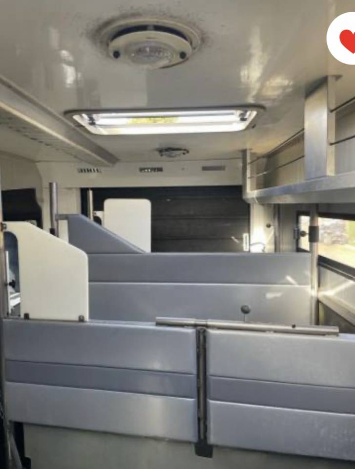 Zware paardenvrachtwagen (groot rijbewijs) STX  2007 Tweedehands