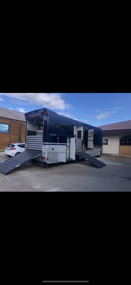 Zware paardenvrachtwagen (groot rijbewijs) STX  2007 Tweedehands
