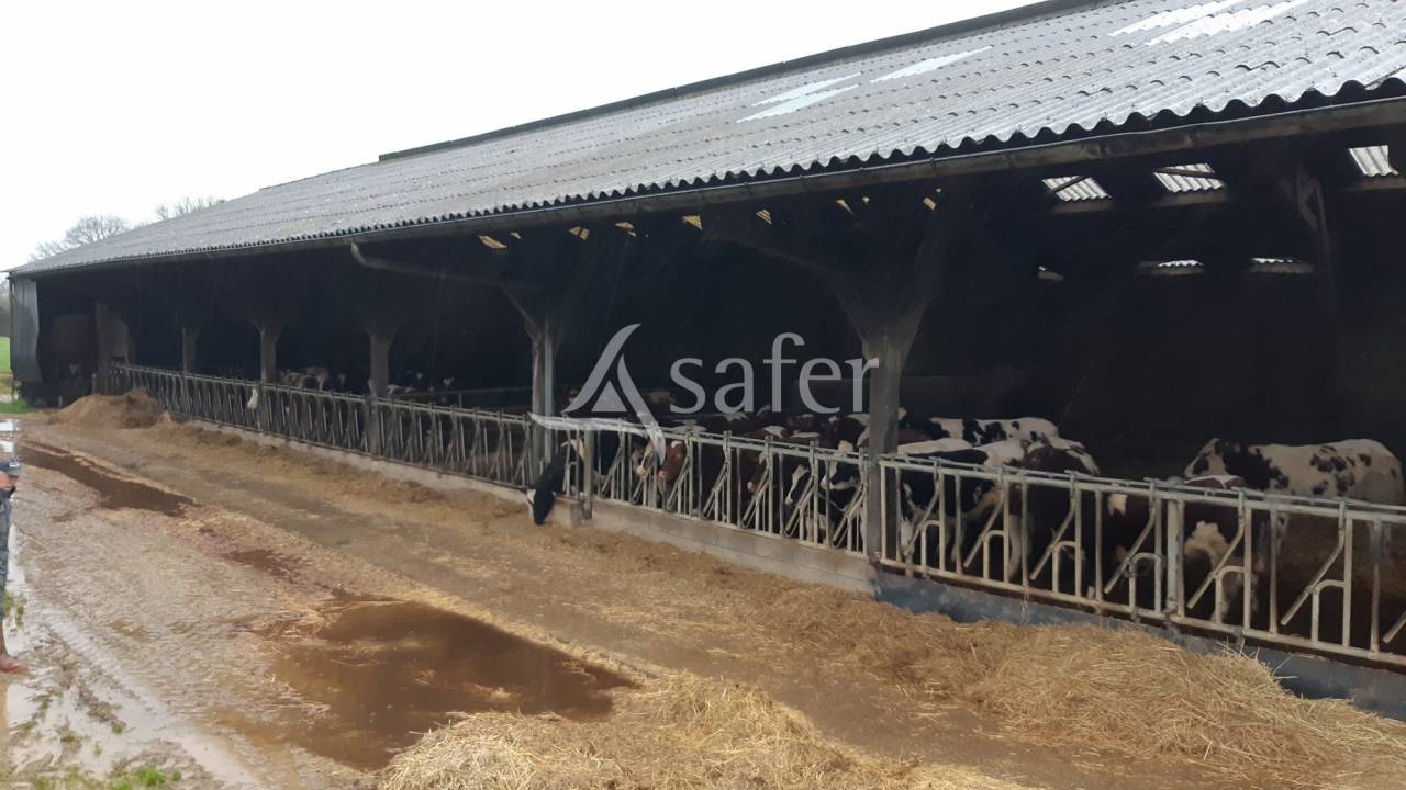 Melk exploitatie Koop Mayenne