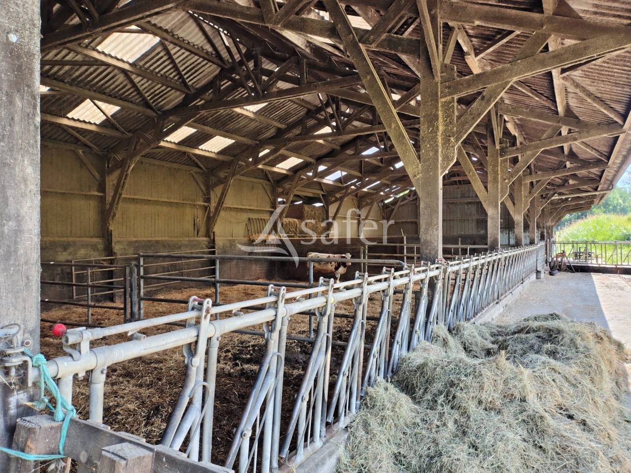 Melk exploitatie Koop Mayenne