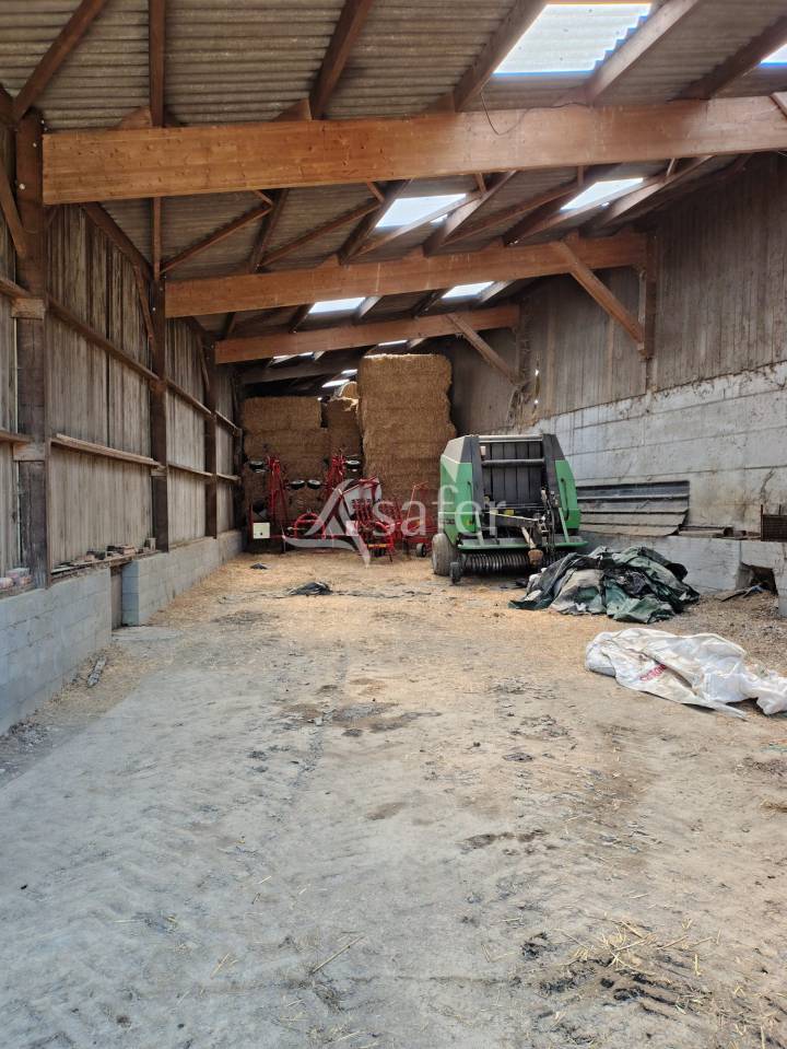 Melk exploitatie Koop Mayenne