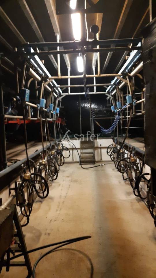 Melk exploitatie Koop Mayenne