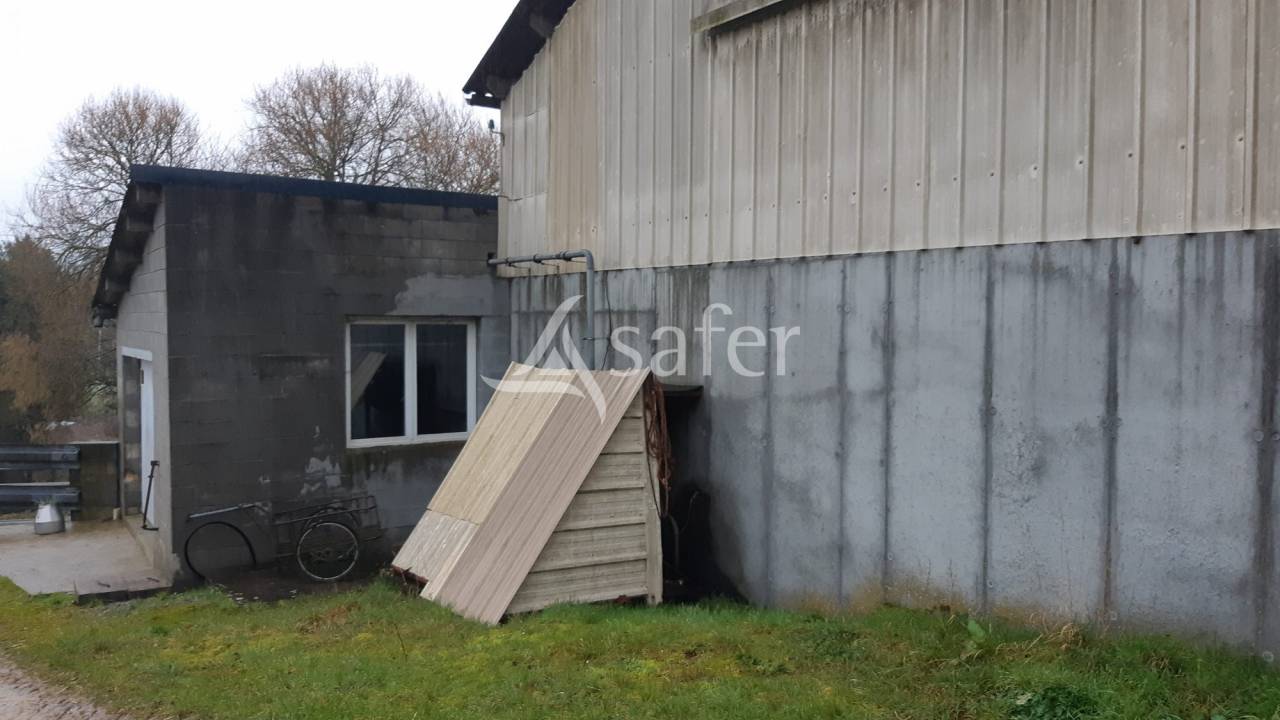 Melk exploitatie Koop Mayenne