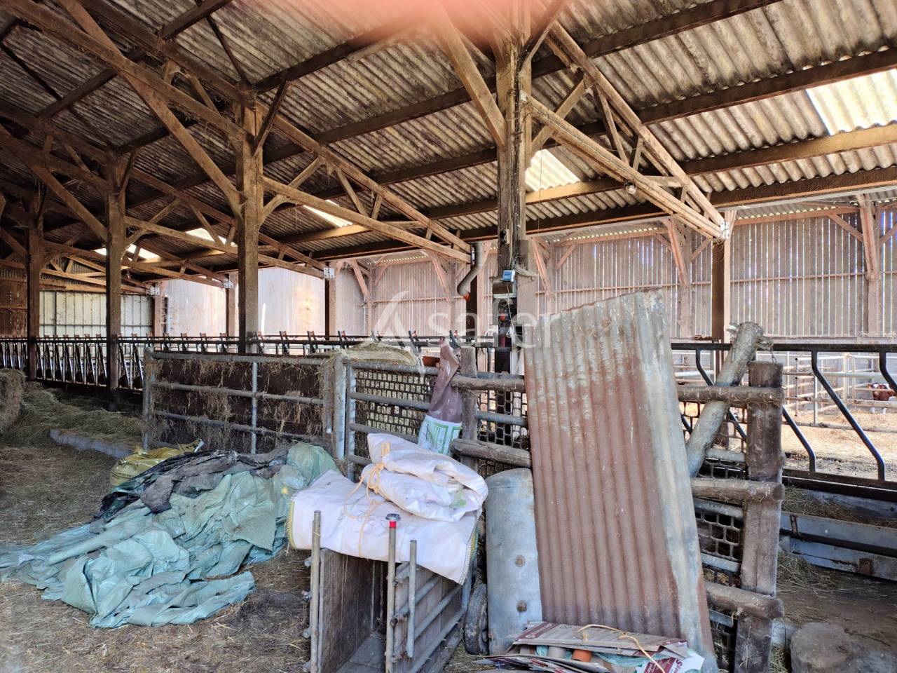 Melk exploitatie Koop Mayenne
