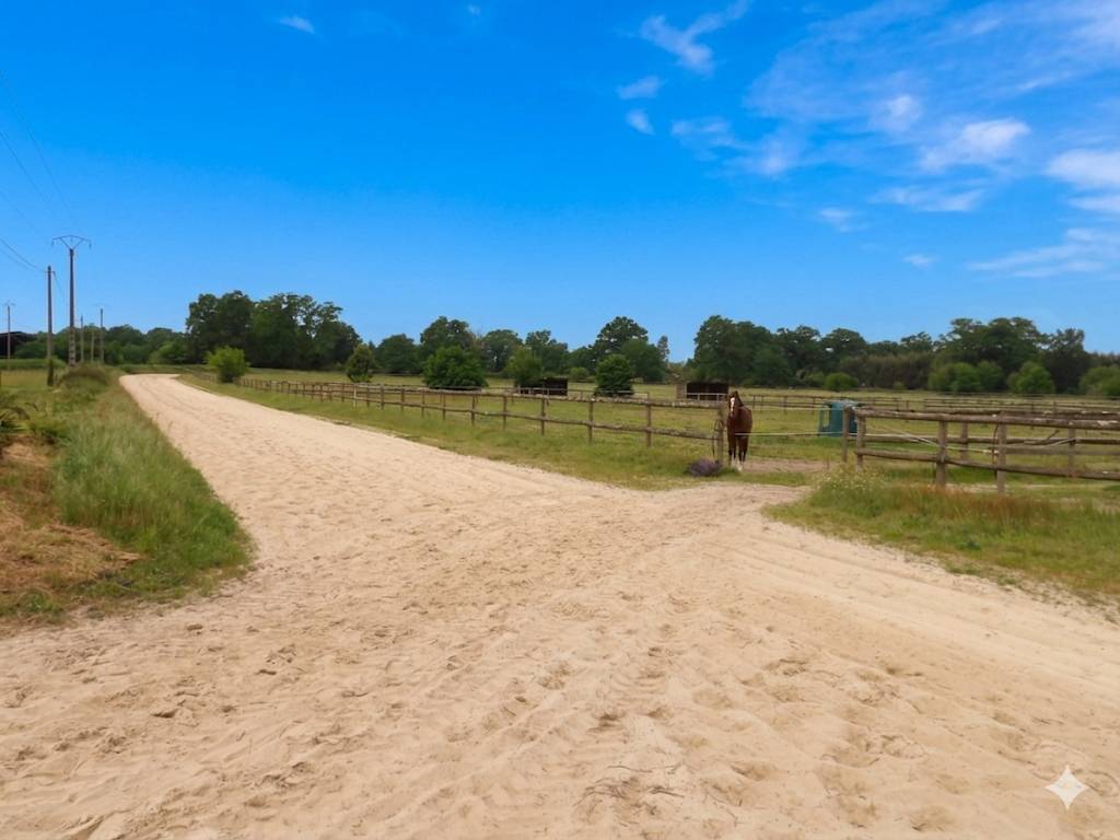 Eigenaren stal Koop Landes