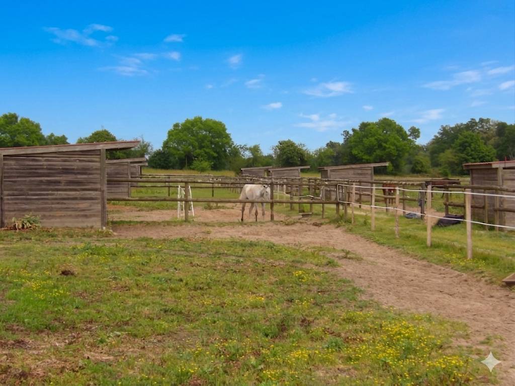 Eigenaren stal Koop Landes