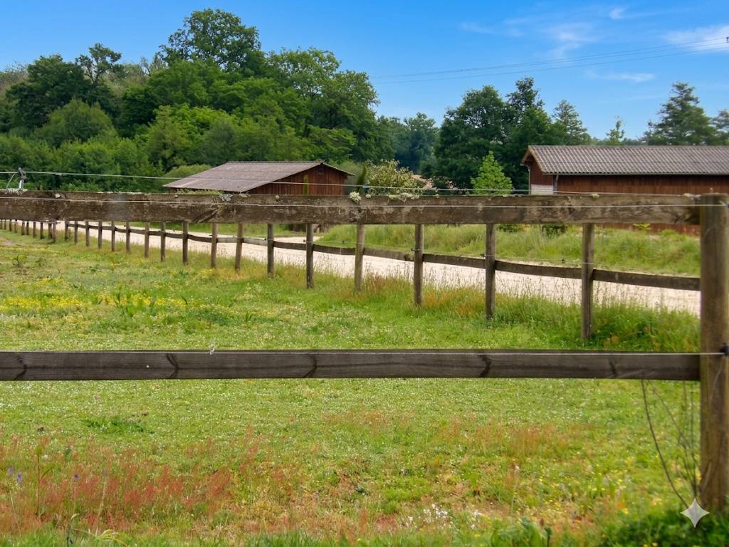 Eigenaren stal Koop Landes