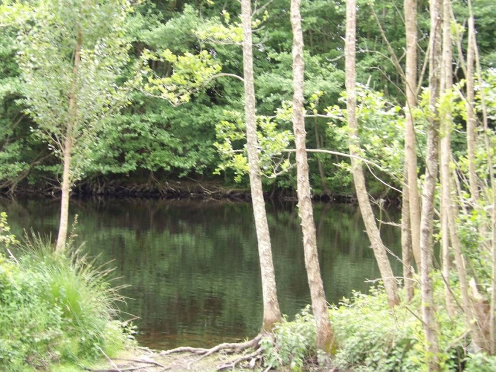 Eigenaren stal Koop Landes