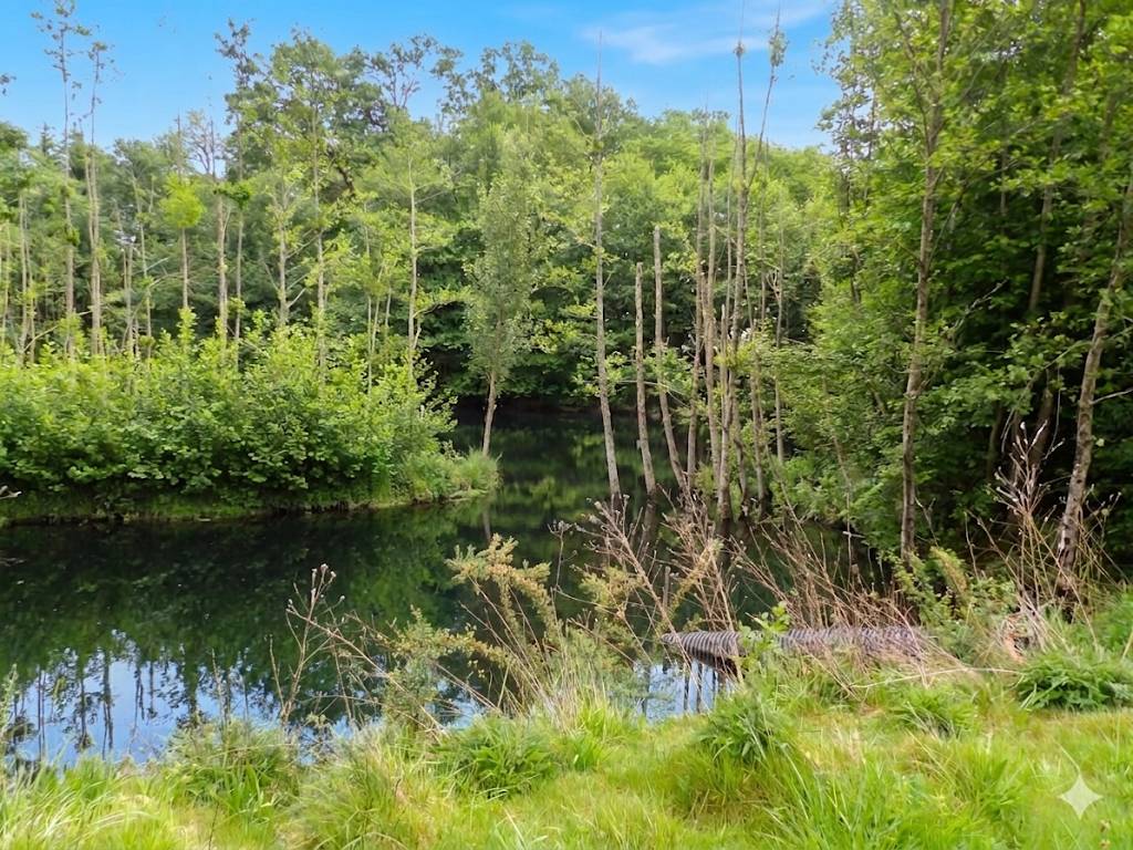 Eigenaren stal Koop Landes