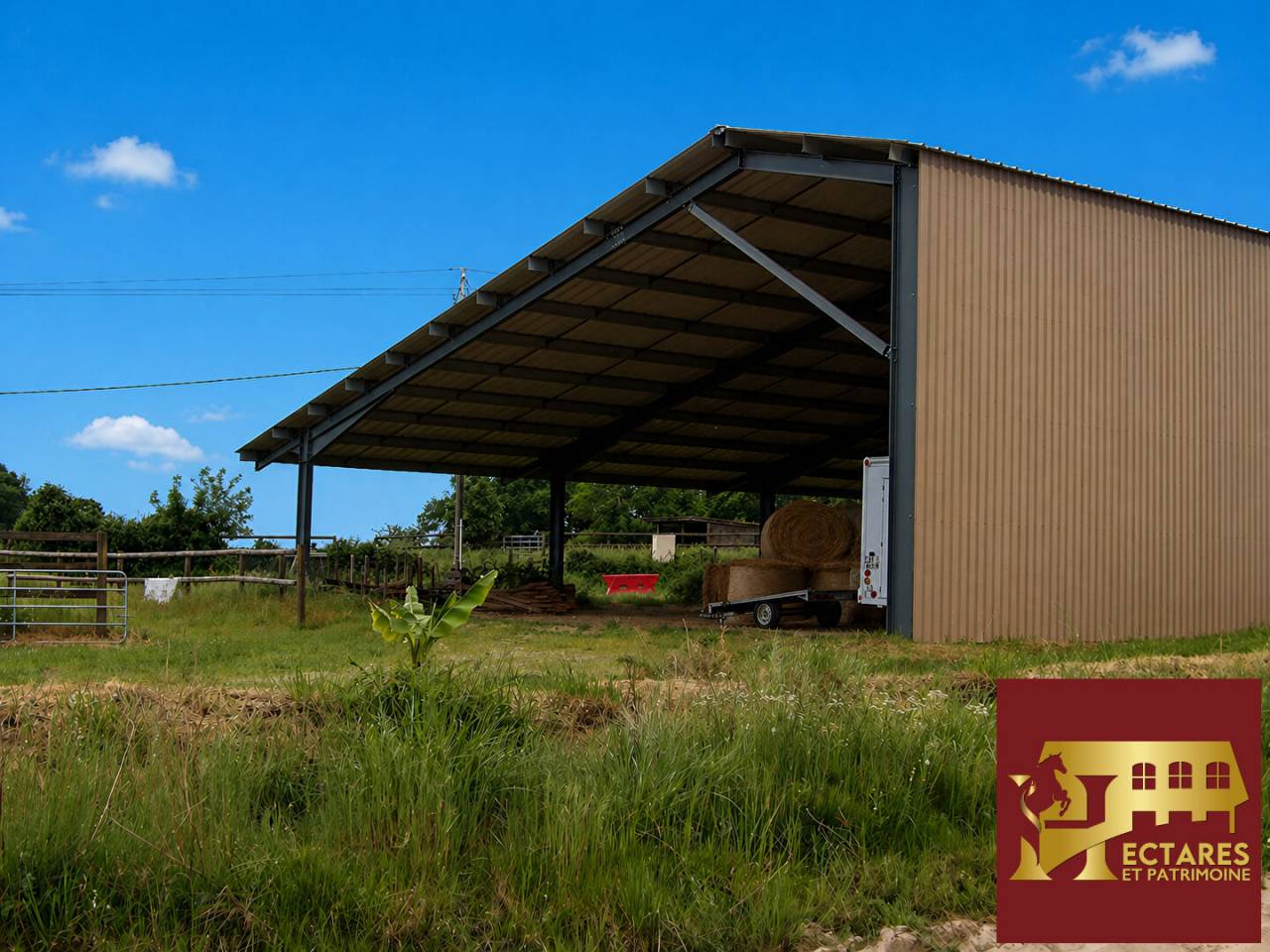 Eigenaren stal Koop Landes