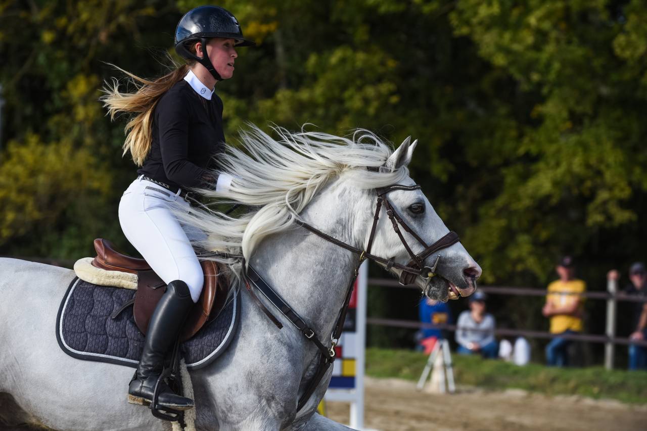 Ruin Connemara Te koop 2015 Schimmel ,  IMPERIAL DU BLIN