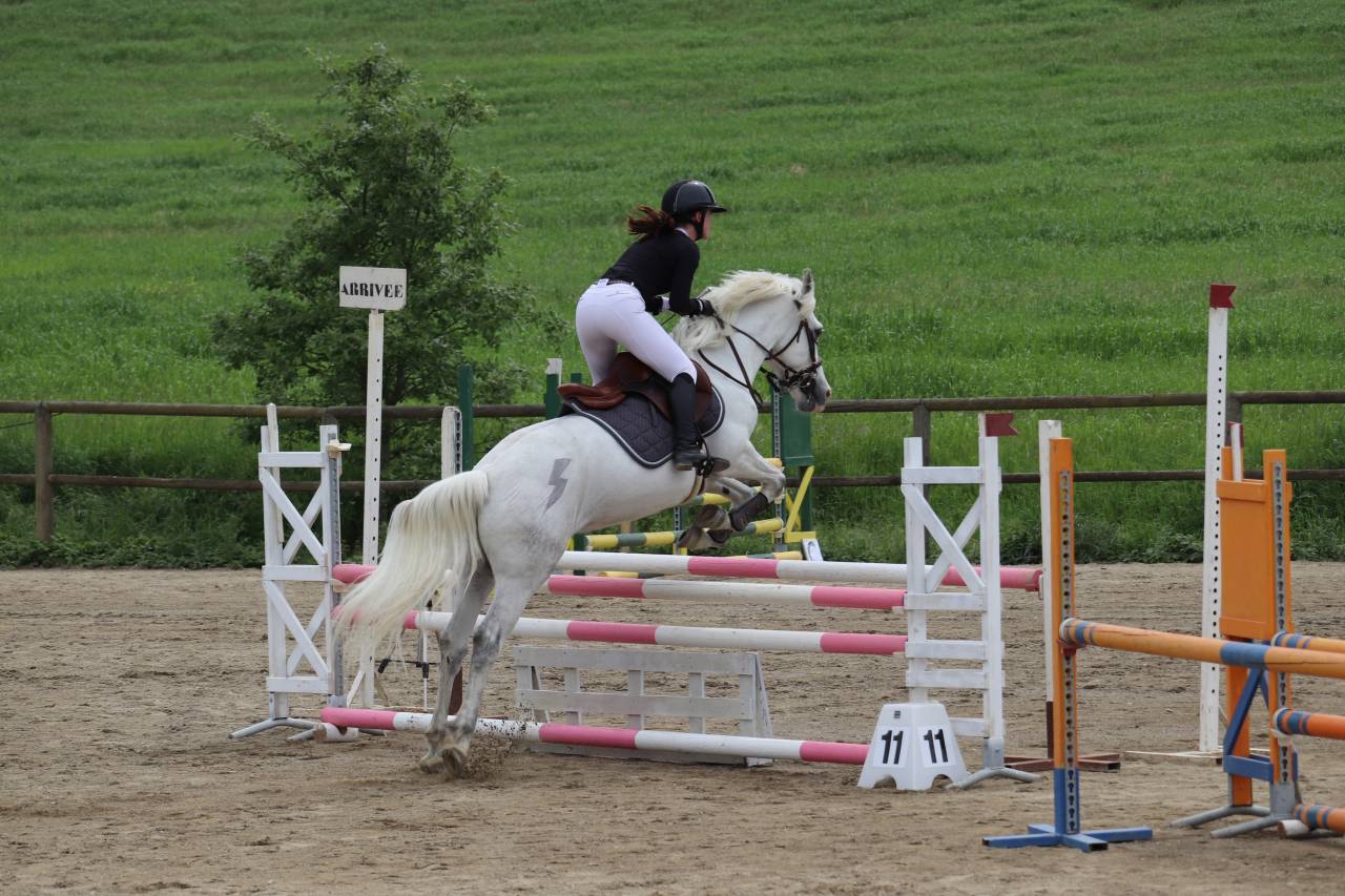 Ruin Connemara Te koop 2015 Schimmel ,  IMPERIAL DU BLIN