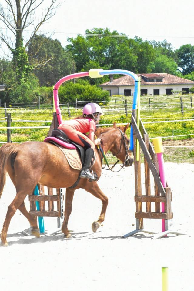 Paardrijleraar - Freelance contract Deeltijds - Haute-Garonne Frankrijk