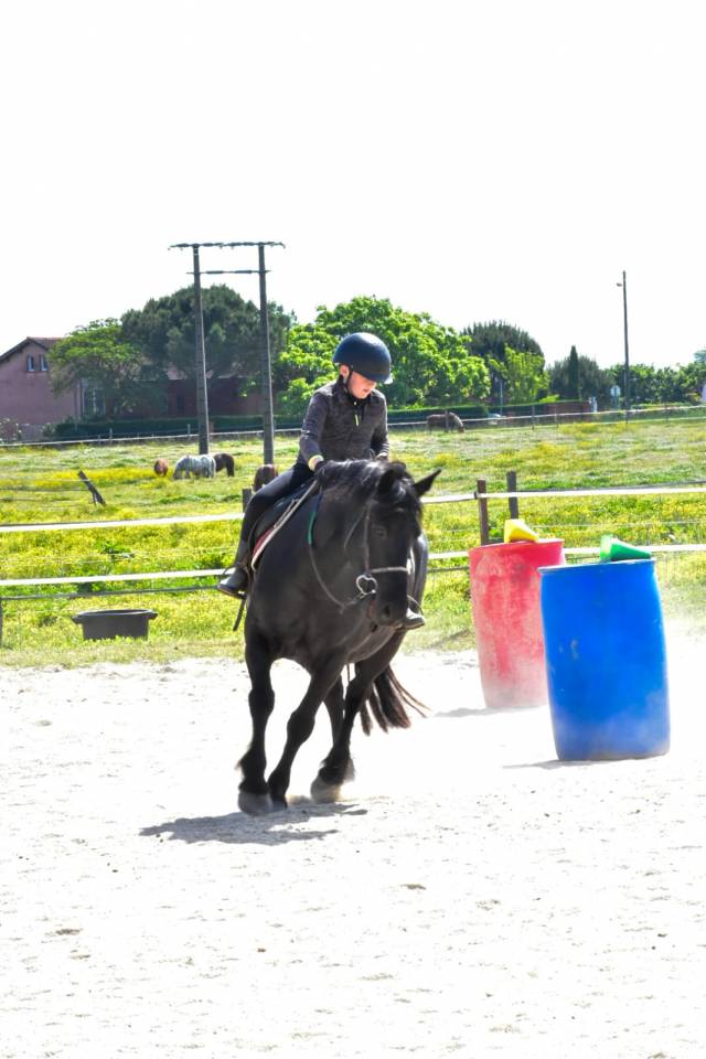 Paardrijleraar - Freelance contract Deeltijds - Haute-Garonne Frankrijk