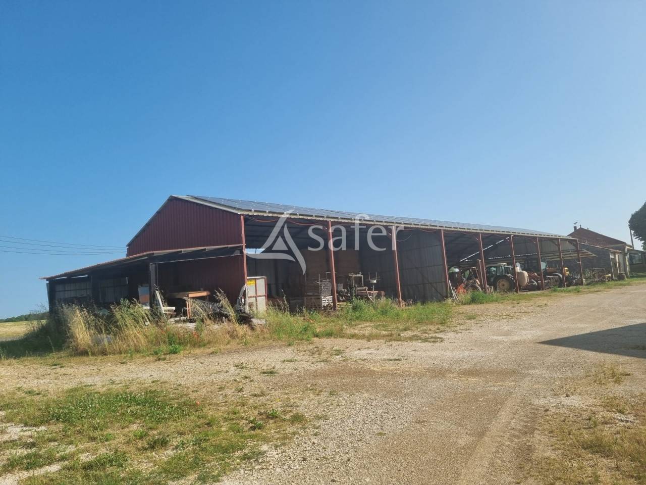 Schapen exploitatie Koop Lot