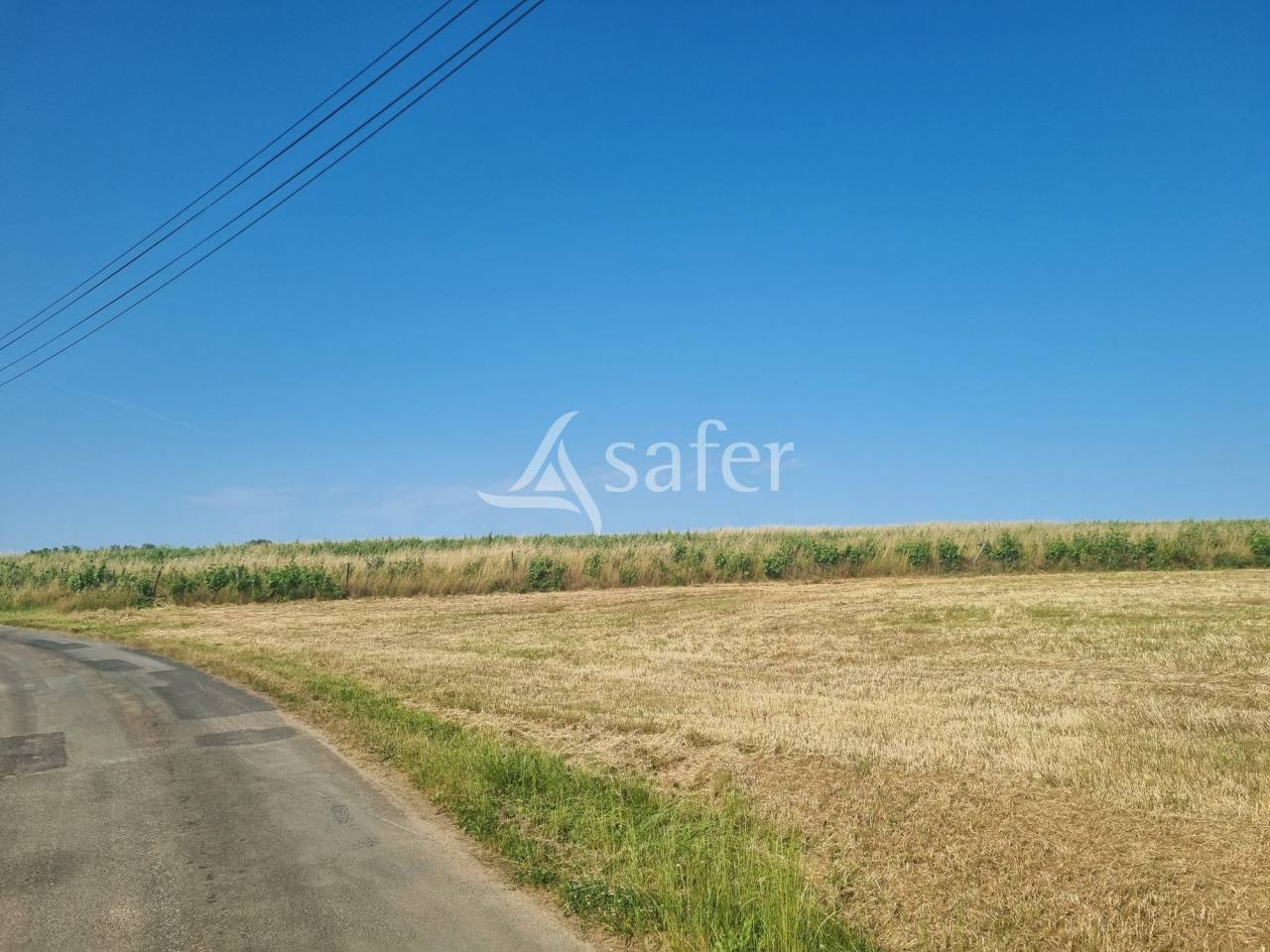 Schapen exploitatie Koop Lot