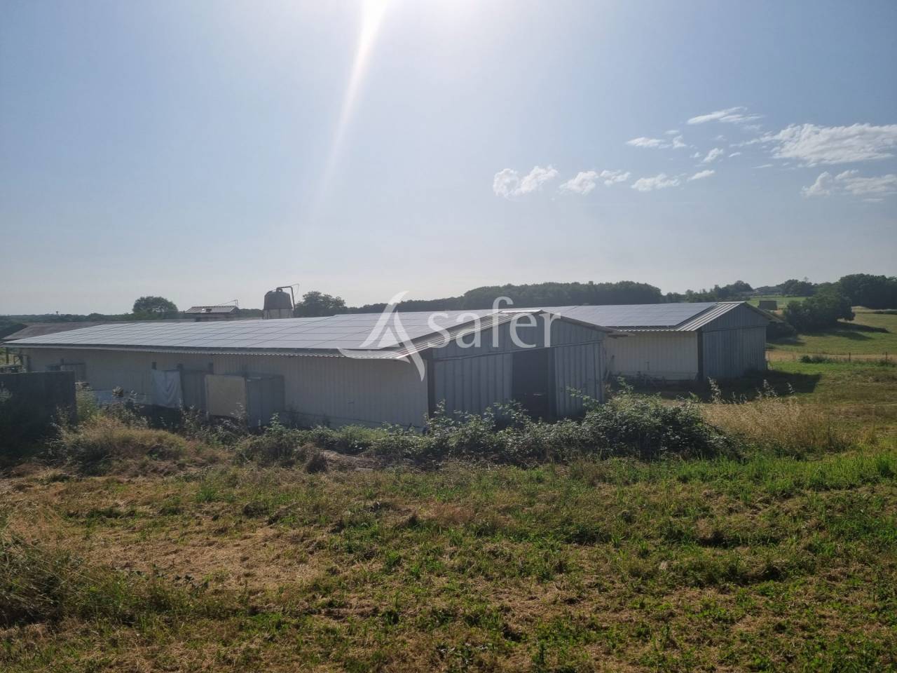 Schapen exploitatie Koop Lot