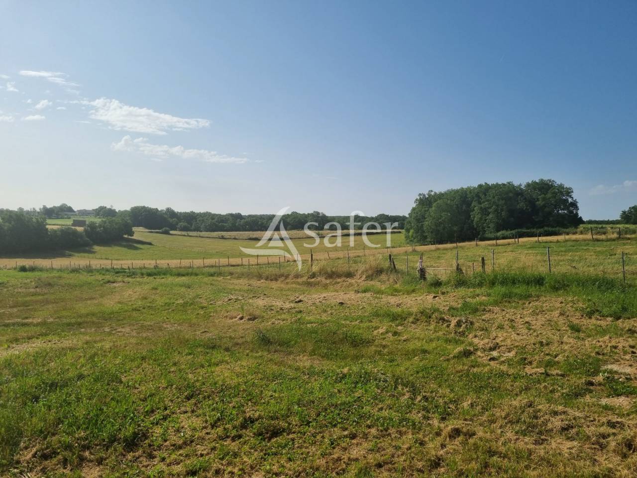 Schapen exploitatie Koop Lot