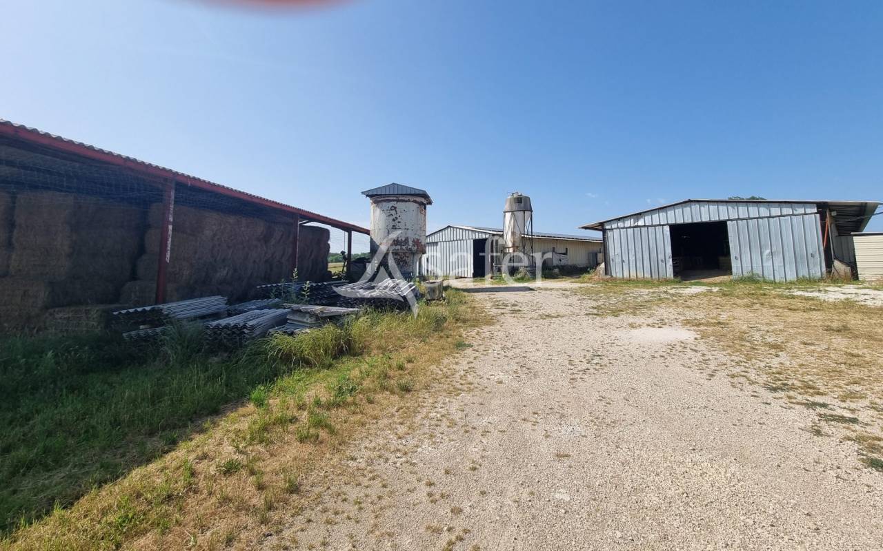Schapen exploitatie Koop Lot