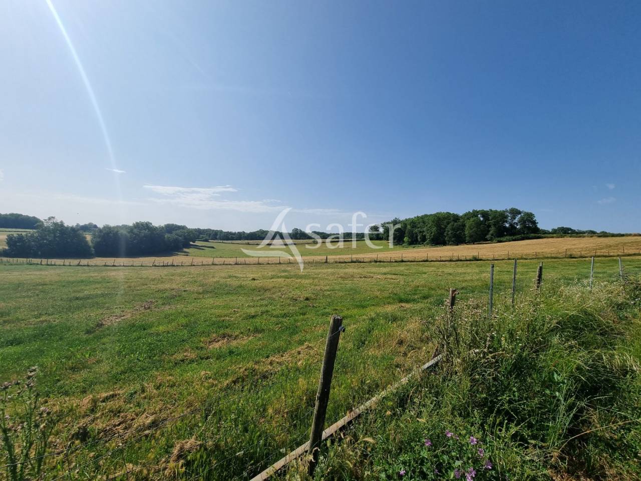 Schapen exploitatie Koop Lot