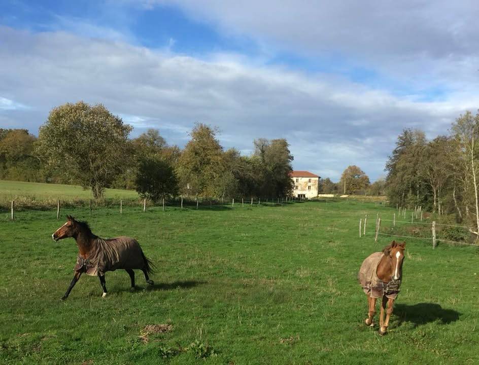 Hippisch vastgoed Koop Ain